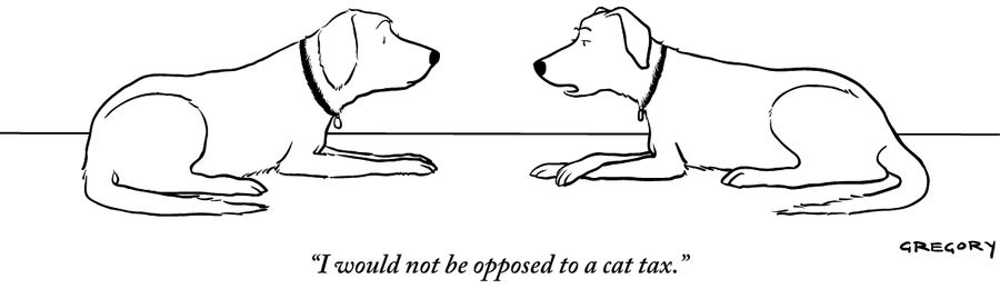 "I would not be opposed to a cat tax."