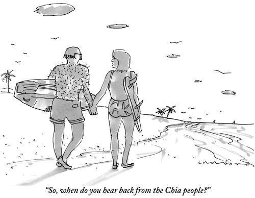 "So, when do you hear back from the Chia people?"