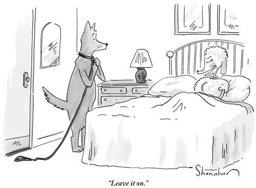 "Leave it on."