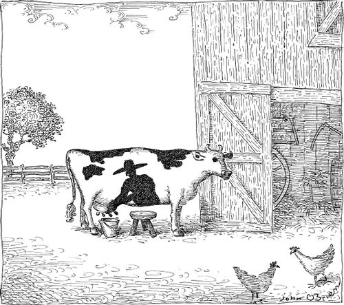 Dairy Farmer Cow Spt