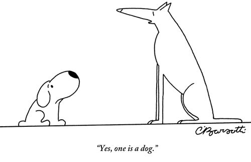 "Yes, one is a dog."