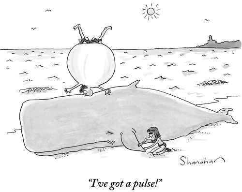 "I've got a pulse!"