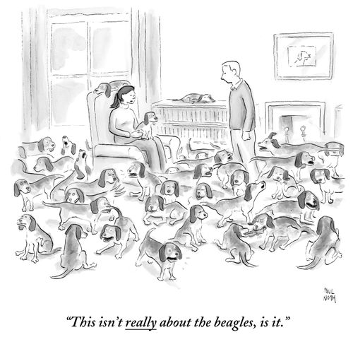 "This isn't really about the beagles, is it."