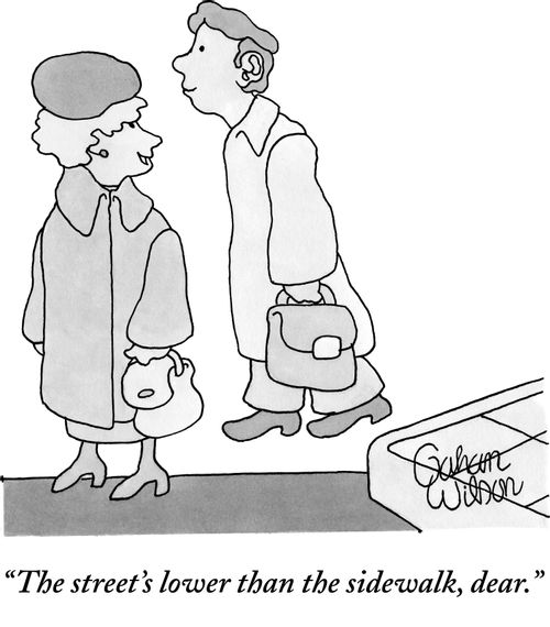 "The street's lower than the sidewalk, dear."