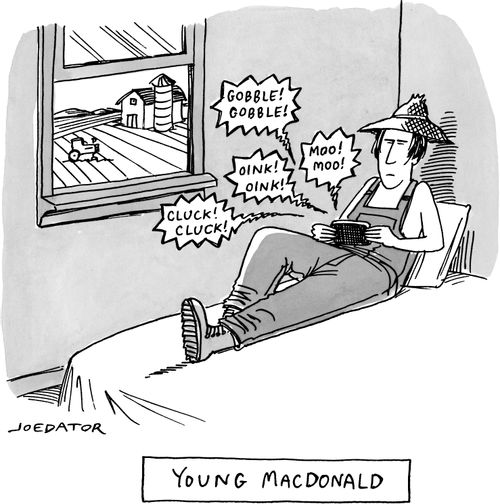 Young MacDonald