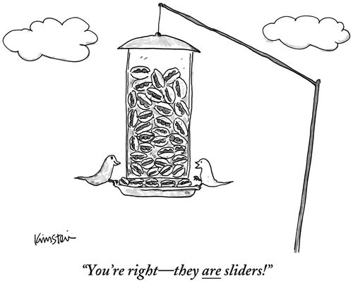 "You're right-they are sliders!"