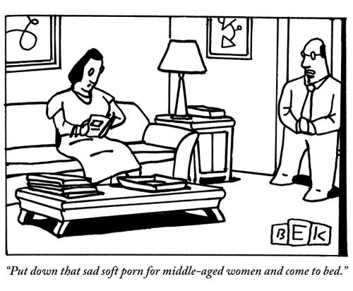 "Put down that sad soft porn for middle-aged women and come to bed."