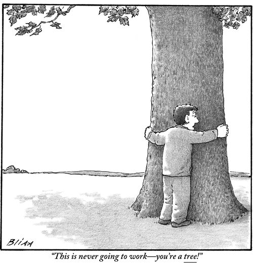 "This is never going to work—you're a tree!"