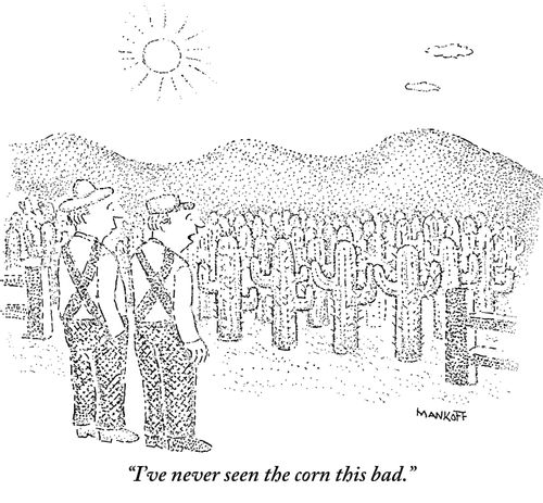 "I've never seen the corn this bad."