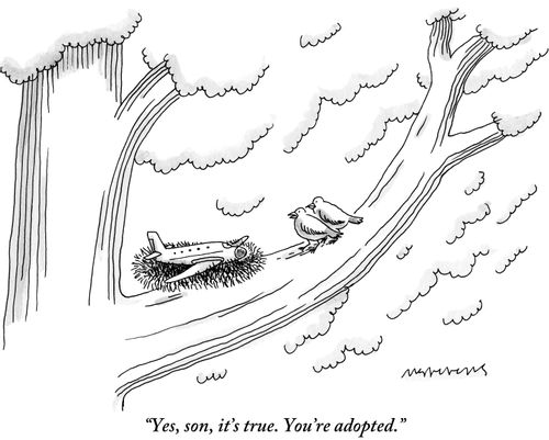 "Yes, son, it's true. You're adopted."