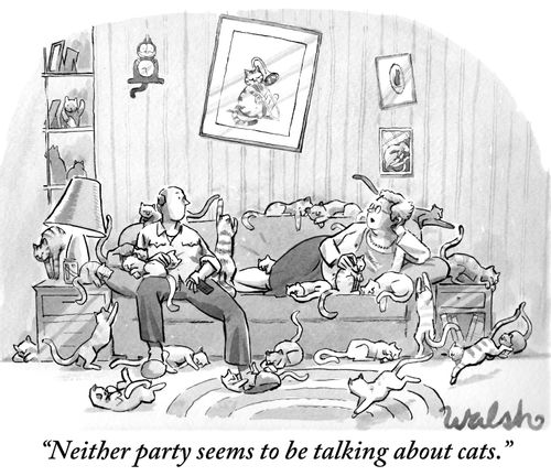 "Neither party seems to be talking about cats."