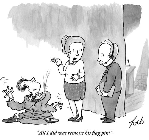 "All I did was remove his flag pin!"