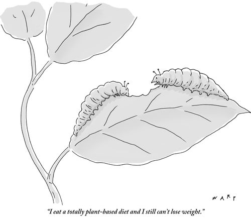 "I eat a totally plant-based diet and I still can't lose weight."