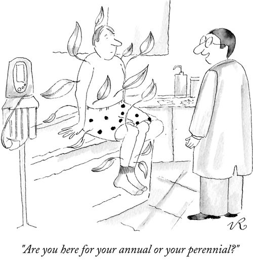 "Are you here for you annual or your perennial?"