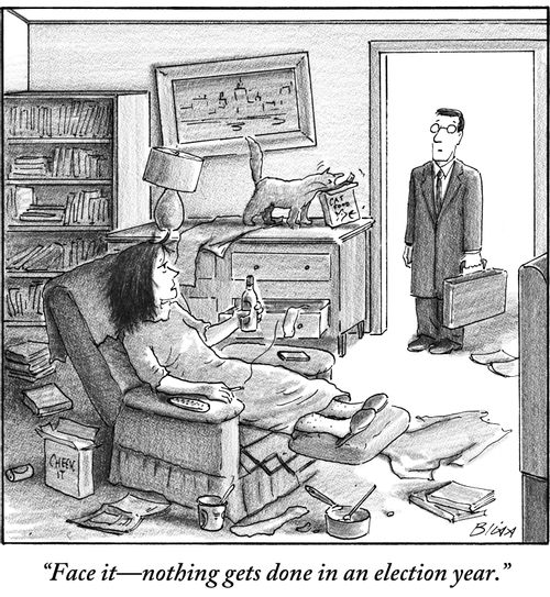 "Face it - nothing gets done in an election year."