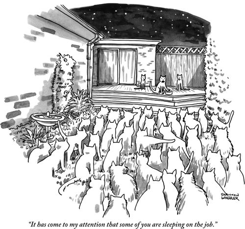 "It has come to my attention that some of you are sleeping on the job."