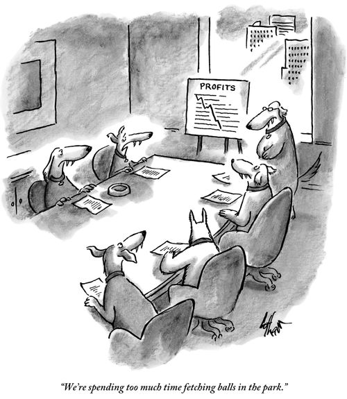 "We're spending too much time fetching balls in the park."