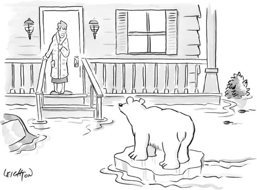 Polar Bear arrives at house