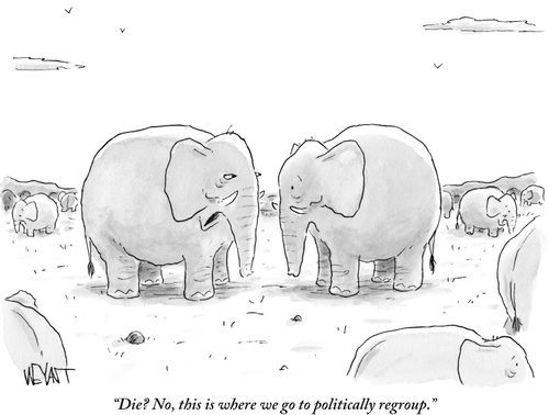 "Die? No, this is where we go to politically regroup."