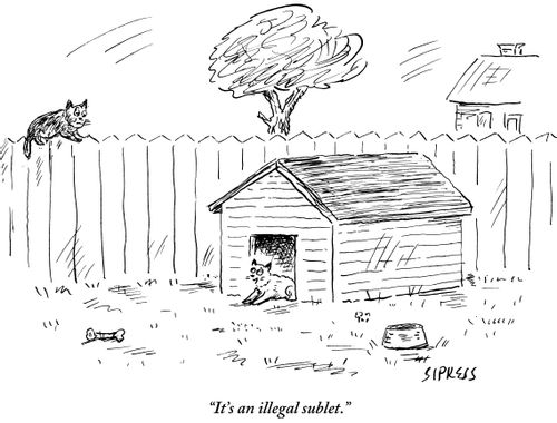 "It's an illegal sublet."