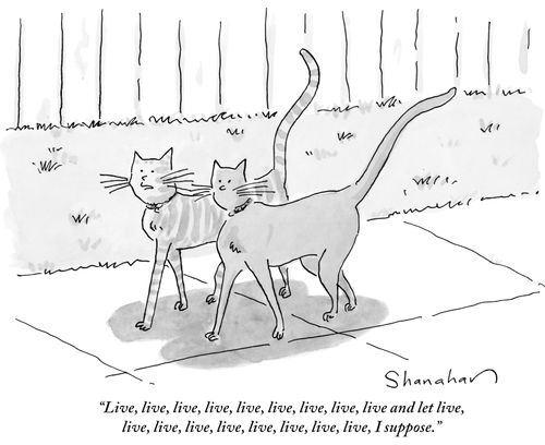 "Live, live, live, live, live, live, live, live, live and let live, live, live, live, live, live, live, live, live, I suppose."