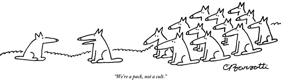 "We're a pack, not a cult."