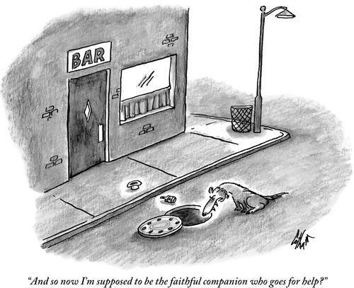 "And so now I'm supposed to be the faithful companion who goes for help?"