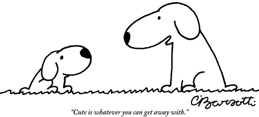 "Cute is whatever you can get away with."