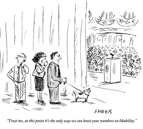 "Trust me, at this point it's the only way we can boost your numbers on likability."