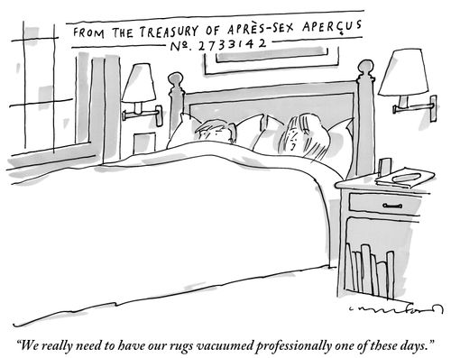 "We really need to have our rugs vacuumed professionally one of these days."