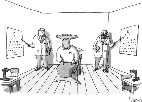 A hammerhead shark gets an eye test.