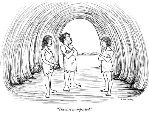 "The dirt is imported."