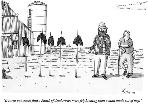 "It turns out crows find a bunch of dead crows more frightening than a man made out of hay."