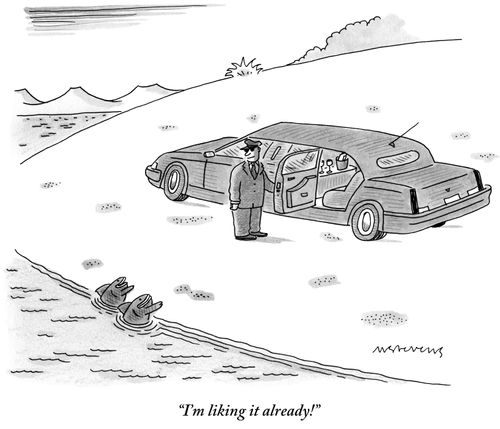 "I'm liking it already!"