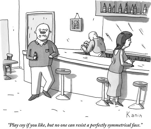 "Play coy if you like, but no one can resist a perfectly symmetrical face."