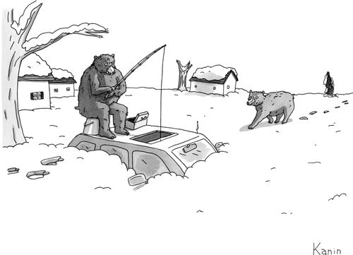 Bears Ice Fishing