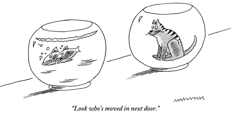 "Look who's moved in next door."