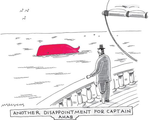 Another Disappointment for Captain Ahab