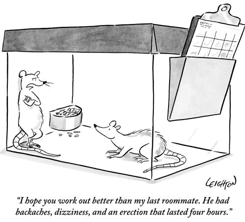 "I hope you work out better than my last roommate. He had backaches, dizziness, and an erection that lasted four hours."
