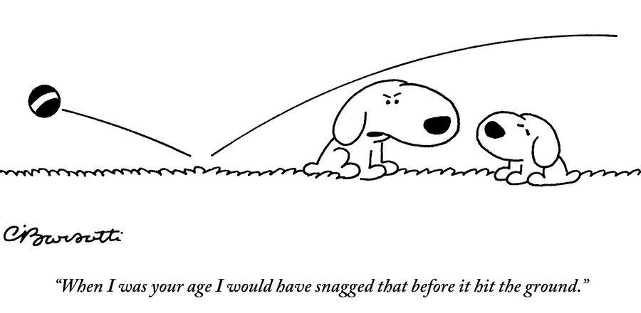"When I was your age I would have snagged that before it hit the ground."