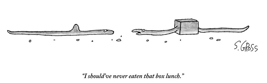 "I should've never eaten that box lunch."