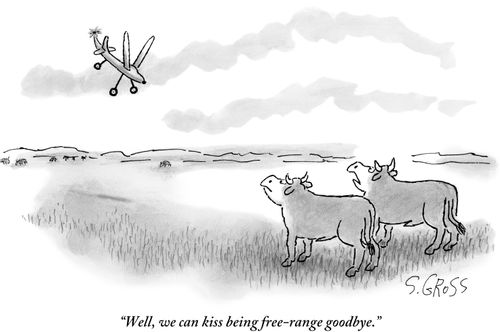 "Well, we can kiss being free-range goodbye."