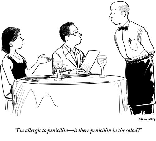 "I'm allergic to penicillin—is there penicillin in the salad?"