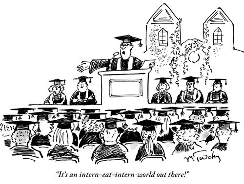 "It's an intern-eat-intern world out there!"