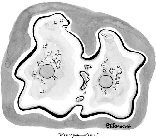 "It's not you-it's me."