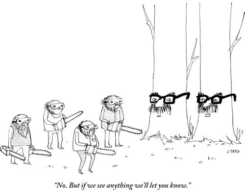 "No. But if we see anything we'll let you know."