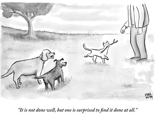 "It is not done well, but one is surprised to find it done at all."