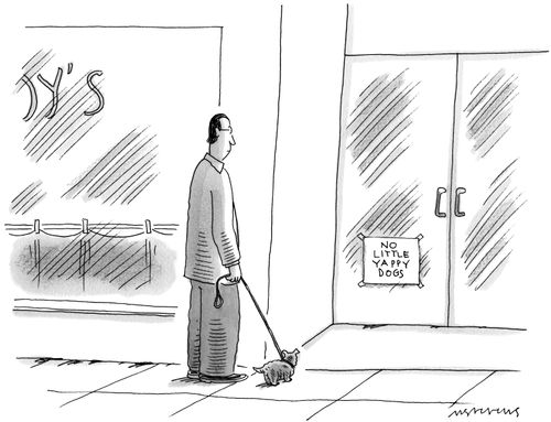 Man and his little dog stand outside the entrance to a shop readings a sign that says "No little yappy dogs".