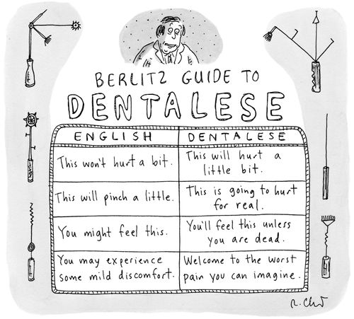Berlitz Guide to Dentalese.