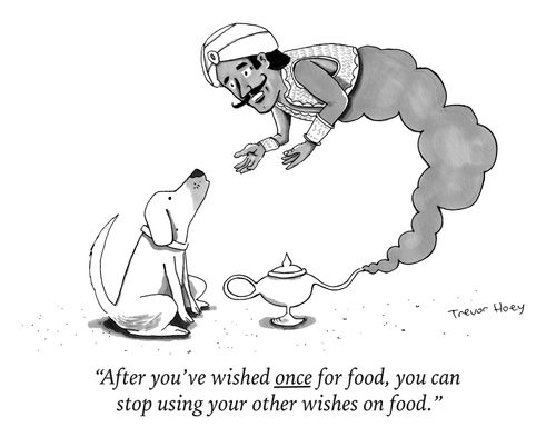 "After you've wished once for food, you can stop using your other wishes on food."